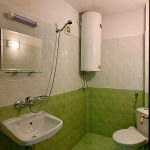 特里亚夫纳新阁旅馆的绿色浴室设有水槽和卫生间
