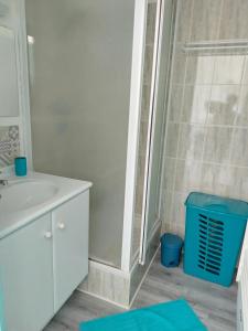 拉卡诺Appartement T 2 AVEC PISCINE的带淋浴和盥洗盆的浴室