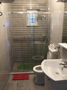 巴比诺波尔杰Apartments with a parking space Sobra, Mljet - 4926的带淋浴、卫生间和盥洗盆的浴室