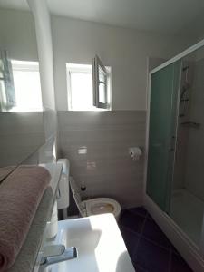 苏佩塔斯卡德拉加Apartments by the sea Supetarska Draga - Donja, Rab - 5042的浴室配有卫生间、盥洗盆和淋浴。