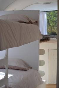 NoraAlgarve Olive Tree Lodge的一间卧室设有两张双层床和一扇窗户。