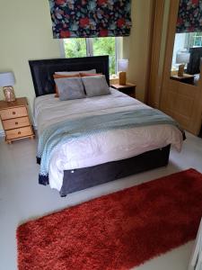 戈尔韦Ardan Mhuire的一间卧室配有一张红色地毯的大床