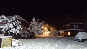 厄尔查尔坦安妮塔之家山林小屋的夜晚有雪覆盖的房子