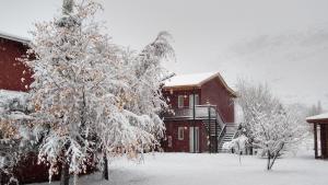 厄尔查尔坦安妮塔之家山林小屋的房子前面的雪覆盖的树