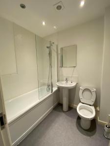 麦斯堡Kingfisher House的浴室配有卫生间、盥洗盆和淋浴。