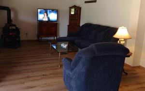 Schmugglerhaus的客厅配有蓝色的沙发和电视