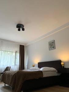 锡纳亚Residence SINAIA Apartments的一间卧室设有一张大床和一个窗户。
