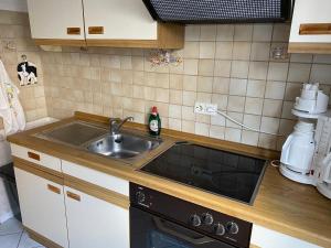 DunningenSchwarzwald - Gemuetliches 2 Zimmer Apartment!的厨房配有水槽和炉灶