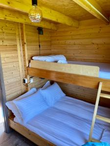 Stærri-Árskógur伊特利维克度假屋的木墙桑拿房的两张床