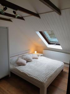 柯尼希施泰因易北Saechsische-Schweiz-Ferienhaus-Wohnung-1-mit-Elbblick-Sauna-und-Kamin的卧室配有白色床和天窗