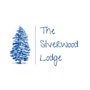 AtholThe Silverwood Lodge的银木小屋的圣诞树