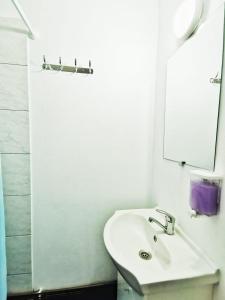 萨斯卡蒙塔讷Casa Borcean 2的白色的浴室设有水槽和镜子