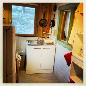 格雷奥利埃Petit chalet pour amoureux de la nature au « Domaine de Tara »的一个带水槽和窗户的小厨房