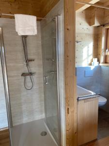 拉赫塔尔Skihütte的浴室里设有玻璃门淋浴