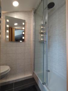 斯希丹B&B Hotel Elselina的带淋浴、卫生间和镜子的浴室