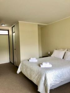 普特雷Hotel Las Vicuñas的一间卧室配有一张大床和两条毛巾