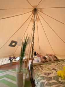 扎达尔Camping Perla的一间卧室,配有带一张床的帐篷