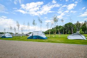 扎托尔KempingZator Namioty的两顶帐篷,位于湖边的草地上