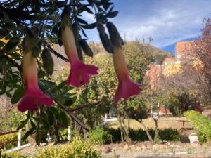 Casa Jardín Recuérdame en Copacabana平面图