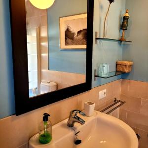 厄尔-汝姆披多Mi casita playera的一间带水槽和镜子的浴室