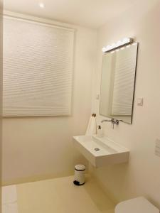 莱昂贝格FeWo Silberberg im Loftstil mit Terrasse的白色的浴室设有水槽和镜子