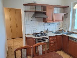 格但斯克Apartament nad morzem的厨房配有木制橱柜和炉灶烤箱。