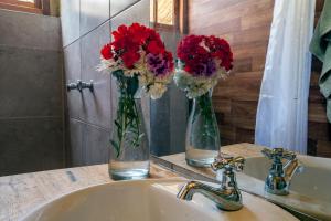 库斯科Inca Trail Glamping的浴室水槽上两瓶花,花红白花