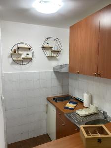 弗尔尼亚奇卡矿泉镇Apartman Vrnjačka Banja的厨房配有水槽和台面