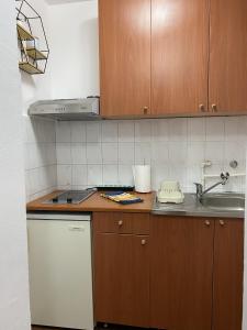 Apartman Vrnjačka Banja的厨房或小厨房