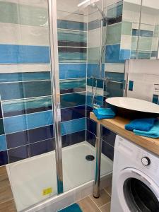 多维尔Studio Mezzanine La vie en bleu- Vue mer Deauville的带淋浴和洗衣机的浴室