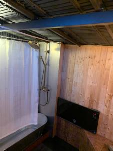 塞尔福斯Valhalla Yurts Freya的带淋浴和卫生间的浴室以及电视。