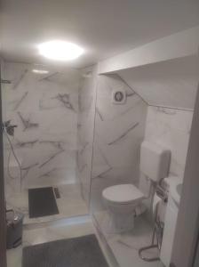 克卢日-纳波卡Lovely loft的白色的浴室设有卫生间和淋浴。