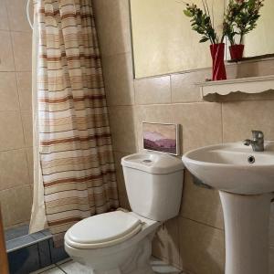 特木科Hostal Sol Temuco的一间带卫生间和水槽的浴室