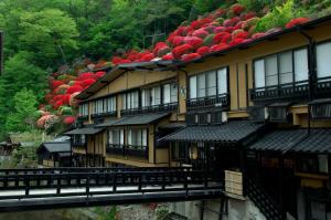 南小国町新明馆 - 山中旅馆的屋顶上一排种着红花的建筑