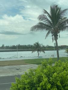 博卡德尔里奥NUEVO Depto vista al mar.的两棵棕榈树,紧靠水体