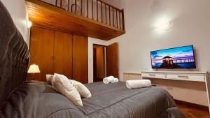 门多萨门多萨蓝天住宿加早餐旅馆的一间卧室配有一张床和一台平面电视