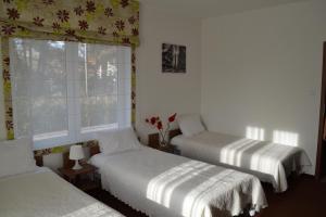 华沙卡利诺伊森酒店的一间卧室设有两张床和鲜花窗户。