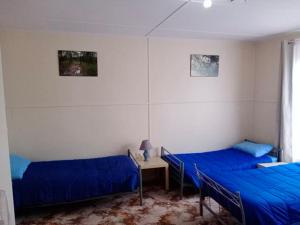 Murtoa克鲁克度假屋的配有两张床铺、蓝色床单和一张桌子的客房