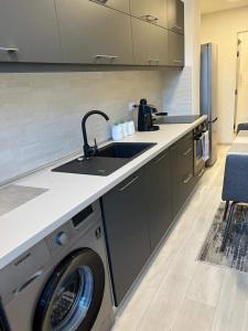 索瓦塔Barney Apartman的厨房配有水槽和洗衣机