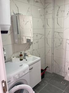 米拉斯Sahil Aparts - Güllük的一间带水槽和洗衣机的浴室