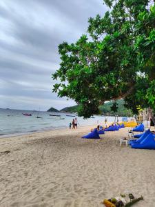 涛岛大海滩度假村的一片蓝伞海滩,海滩上的人