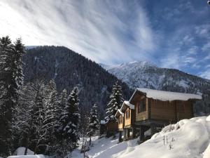 艾德亚耶拉西Kardelen Bungalov Evleri̇的雪中的一个小木屋,有山