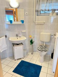 赫维兹Farkas apartman的一间带卫生间和水槽的浴室