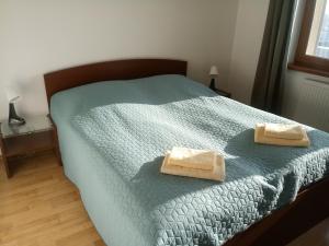 利普托斯基米库拉斯利普托公寓的一间卧室配有一张床,上面有两条毛巾