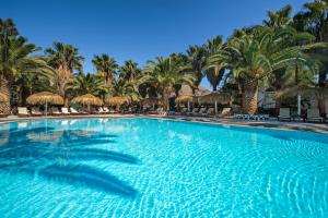 佩里萨梅特迷村庄酒店的一座棕榈树环绕的大型游泳池
