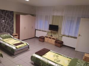绍尔特沃德凯特Pingpong Apartman的一间卧室配有两张床和一台平面电视