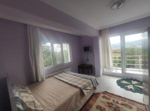 YeşilovaKaplan Apart - Pansiyon的一间卧室设有一张床和两个窗户。
