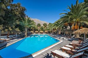 佩里萨梅特迷村庄酒店的度假村内一个带躺椅和棕榈树的游泳池