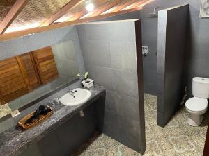 蓝梦岛Mangrove Beach Hut的一间带水槽和卫生间的浴室