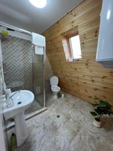 克尔茨什瓦拉乡Liniștea Muntilor的浴室配有白色水槽和卫生间。